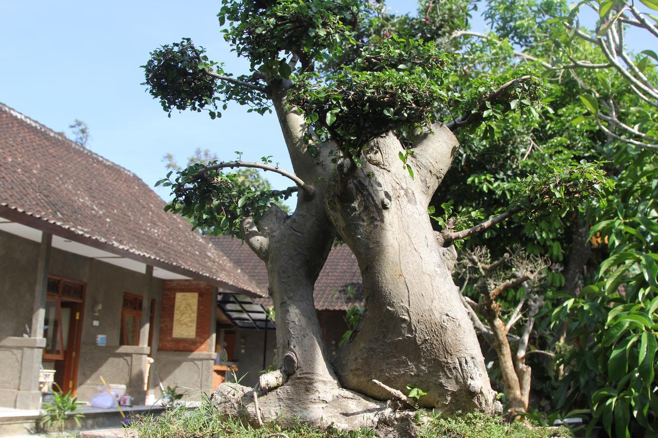 Hotel Jerogadung House Ubud Exterior foto